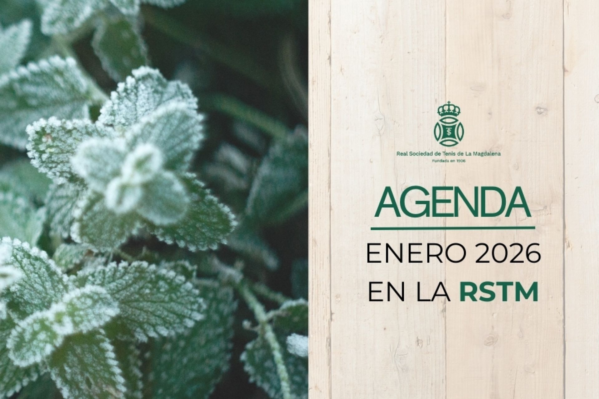 ♔ Agenda del mes