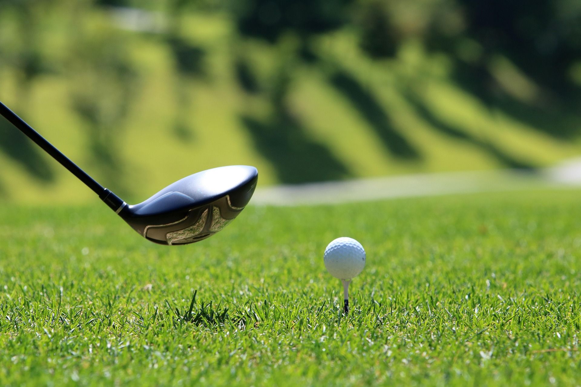 ♔ Campeonato Social de Golf